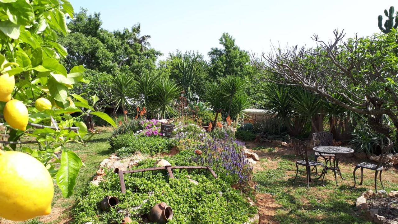 Retiro Da Janela Bed and Breakfast Boliqueime Exteriör bild